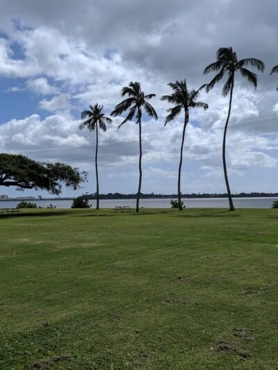 Blaisdell Park - Aiea, HI
