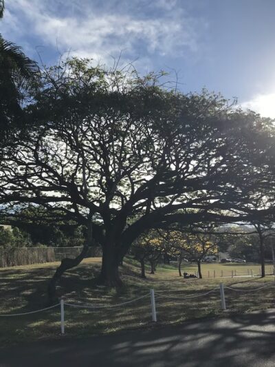 Hālawa District Park - Aiea, HI