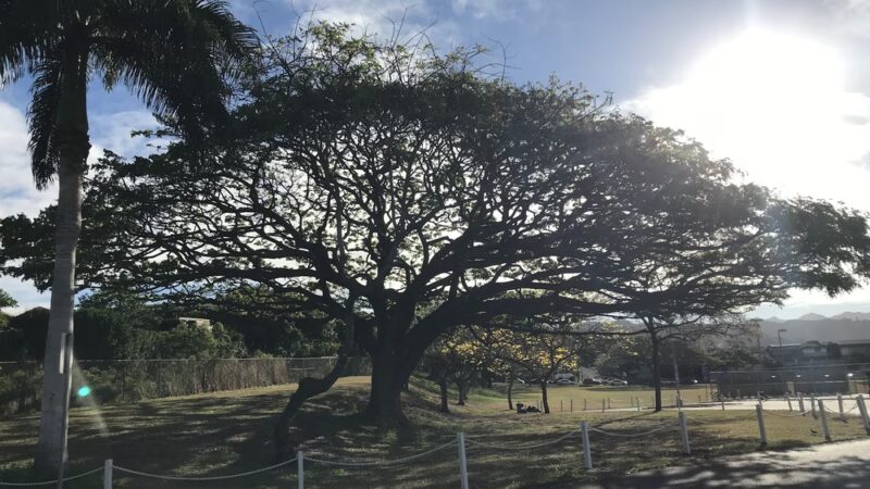 Hālawa District Park - Aiea, HI