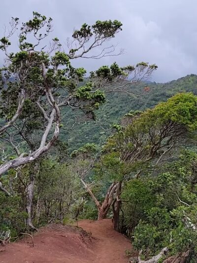 Keaīwa Heiau State Recreation Area - Aiea, HI