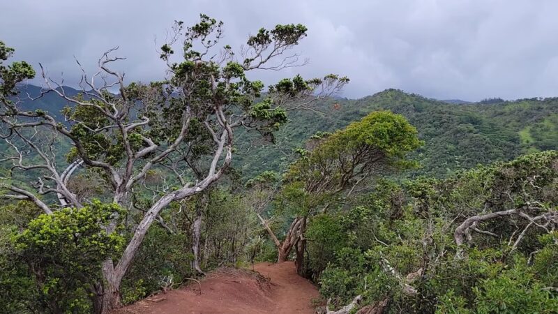 Keaīwa Heiau State Recreation Area - Aiea, HI