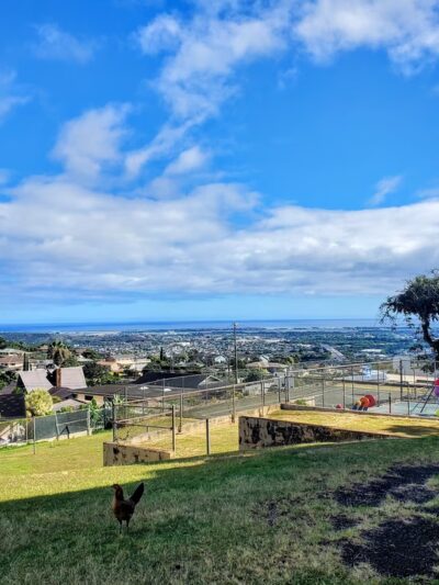Nāpuanani Neighborhood Park - Aiea, HI