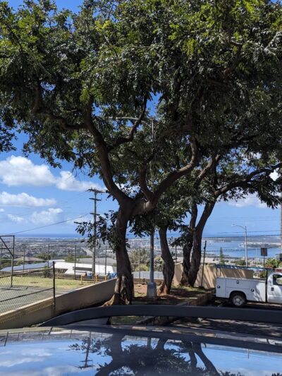 Nāpuanani Neighborhood Park - Aiea, HI