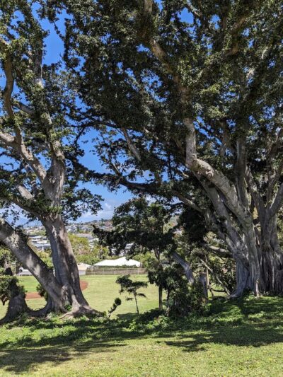 Nāpuanani Neighborhood Park - Aiea, HI