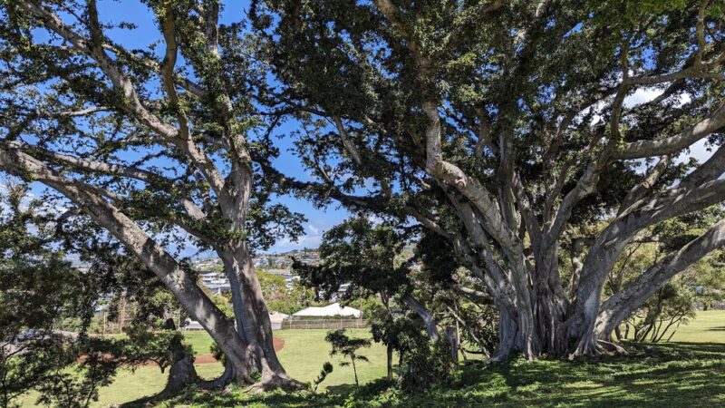 Nāpuanani Neighborhood Park - Aiea, HI