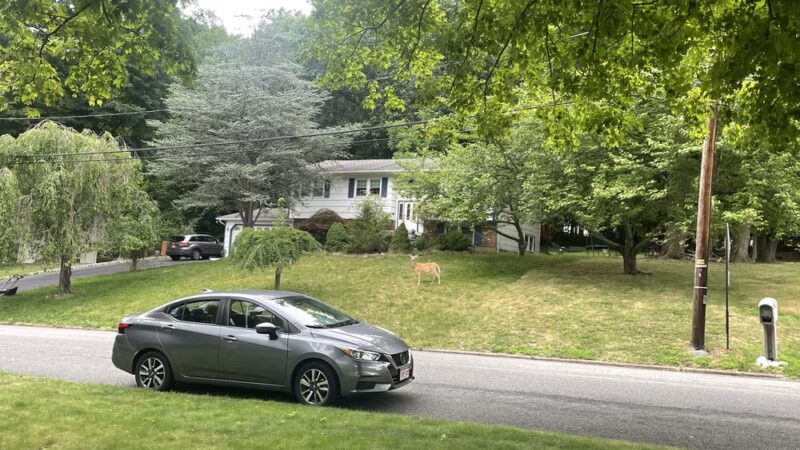 Lorna Lane Park - Airmont, NY