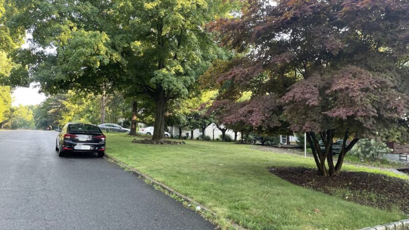 Lorna Lane Park - Airmont, NY