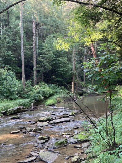 Mason-Dixon Trail - Airville, PA