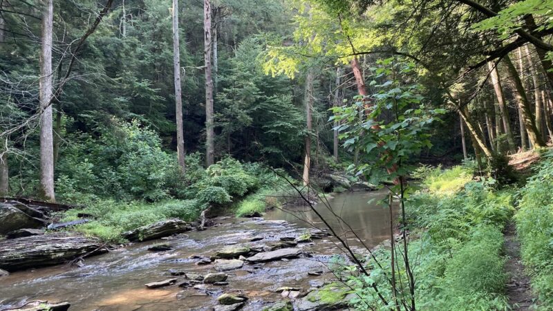 Mason-Dixon Trail - Airville, PA