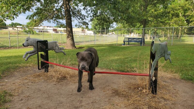 Paw Print Park - Akron, IN