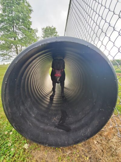 Paw Print Park - Akron, IN
