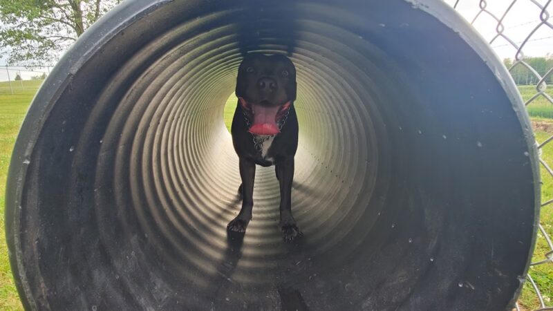 Paw Print Park - Akron, IN