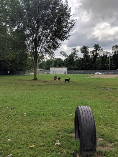 BARC - Akron Dog Park - Akron, OH