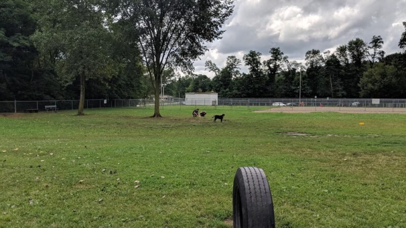 BARC - Akron Dog Park - Akron, OH