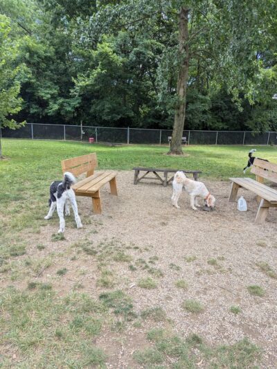 BARC - Akron Dog Park - Akron, OH