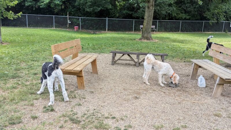 BARC - Akron Dog Park - Akron, OH