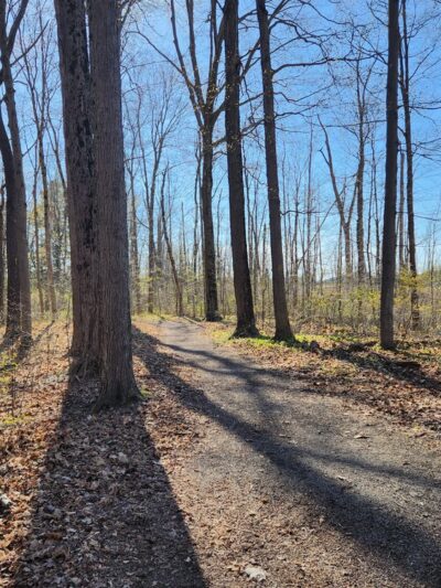 Kanyoo Nature Trail - Alabama, NY