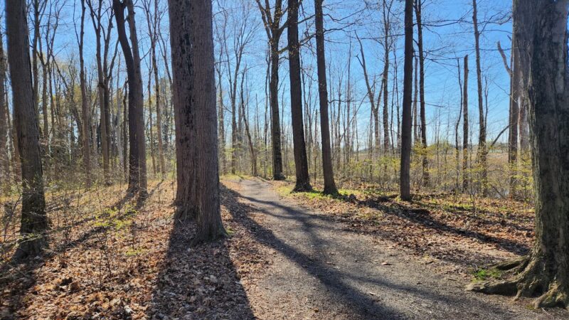 Kanyoo Nature Trail - Alabama, NY