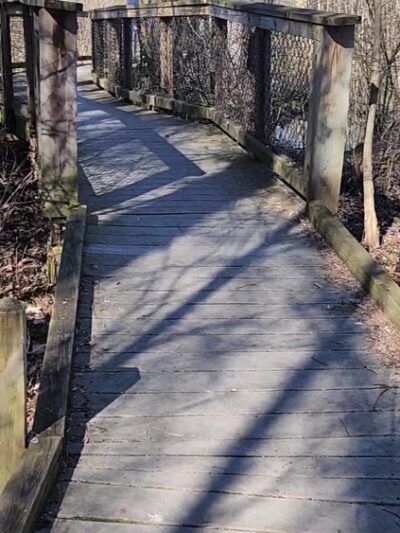 Kanyoo Nature Trail - Alabama, NY