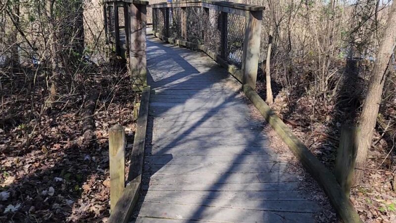 Kanyoo Nature Trail - Alabama, NY