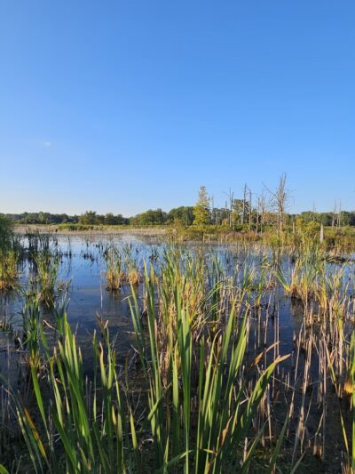 Kanyoo Nature Trail - Alabama, NY
