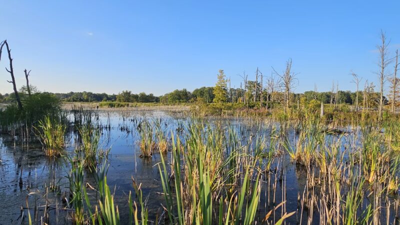 Kanyoo Nature Trail - Alabama, NY