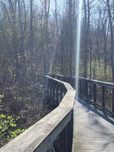 Kanyoo Nature Trail - Alabama, NY