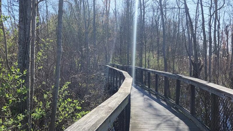Kanyoo Nature Trail - Alabama, NY