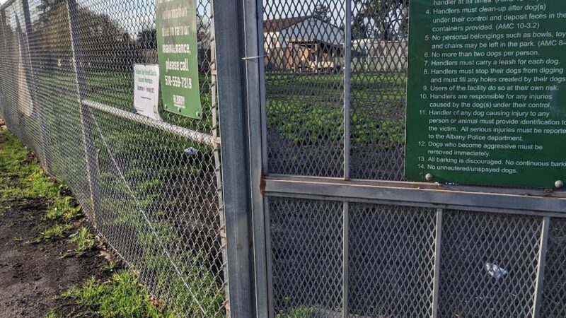 Albany Dog Park - Albany, CA