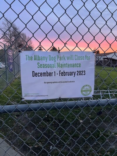 Albany Dog Park - Albany, CA