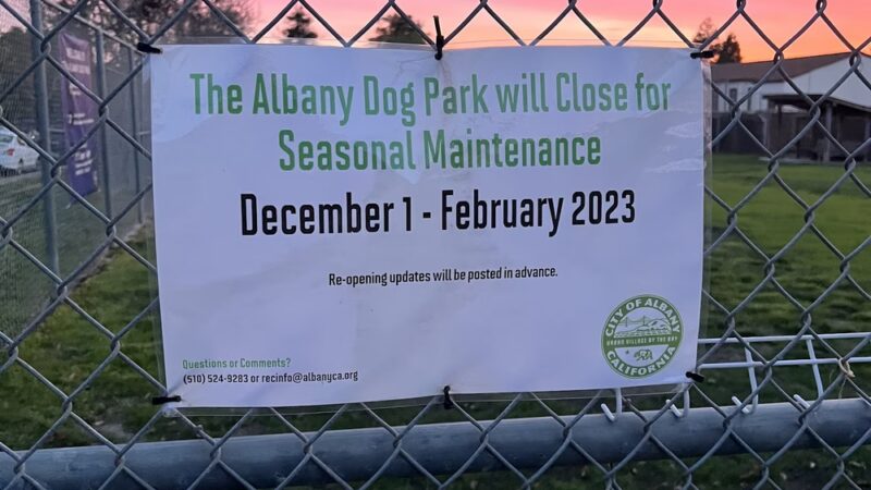 Albany Dog Park - Albany, CA