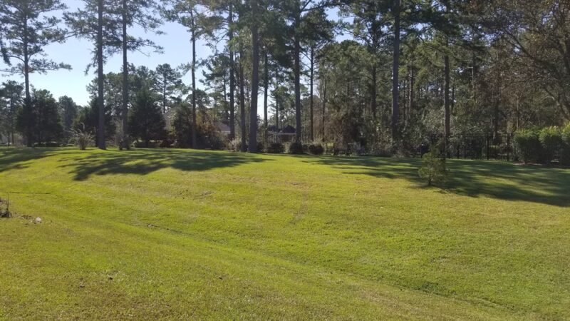 Webb Park - Albany, GA