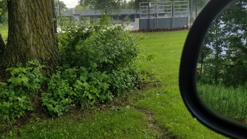 North Park - Albany, MN