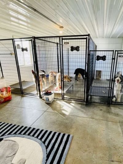 Butler's Charcoal Ridge Doggy Daycare and Grooming - Albia, IA