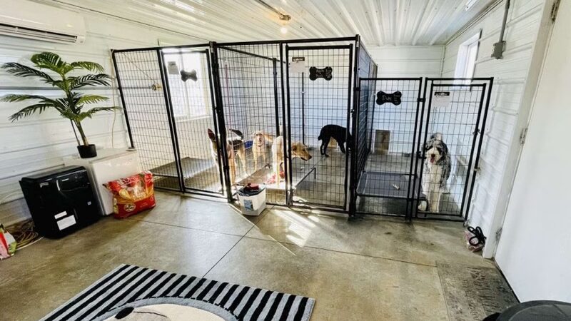 Butler's Charcoal Ridge Doggy Daycare and Grooming - Albia, IA