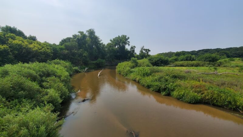 Olson Nature Preserve - Albion, NE