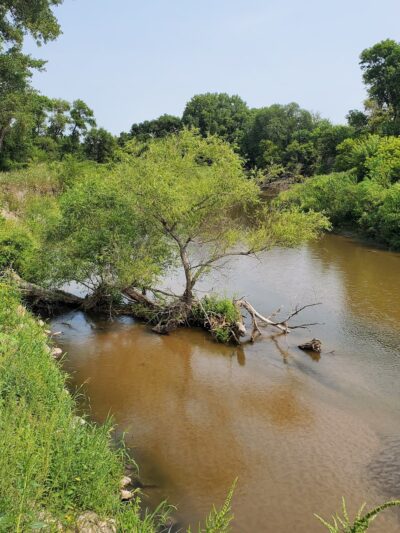 Olson Nature Preserve - Albion, NE