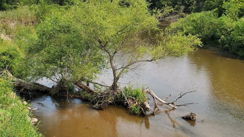 Olson Nature Preserve - Albion, NE