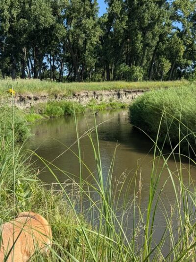Olson Nature Preserve - Albion, NE