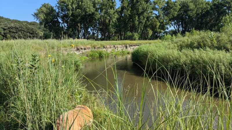Olson Nature Preserve - Albion, NE