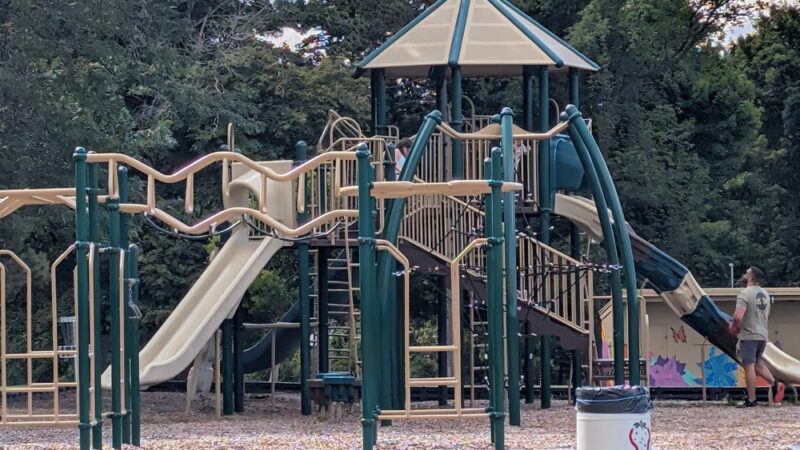 Bullard Park - Albion, NY