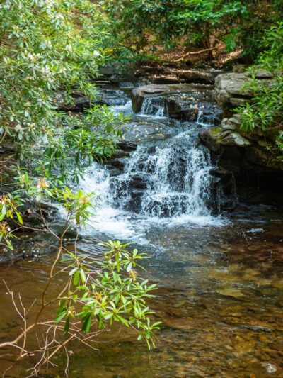 Shades Of Death Trail - Albrightsville, PA