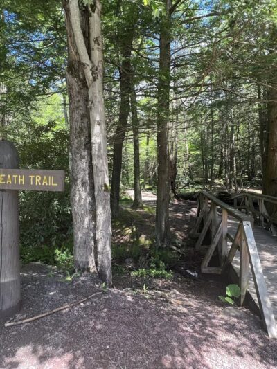 Shades Of Death Trail - Albrightsville, PA