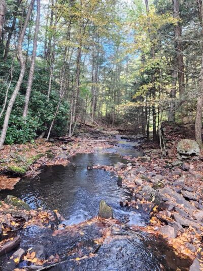 Shades Of Death Trail - Albrightsville, PA