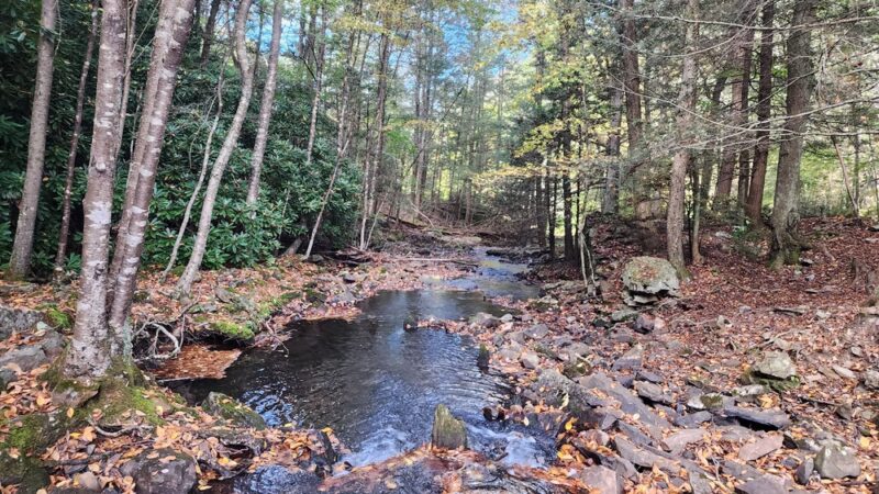 Shades Of Death Trail - Albrightsville, PA