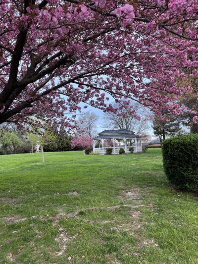 Providence Park - Aldan, PA