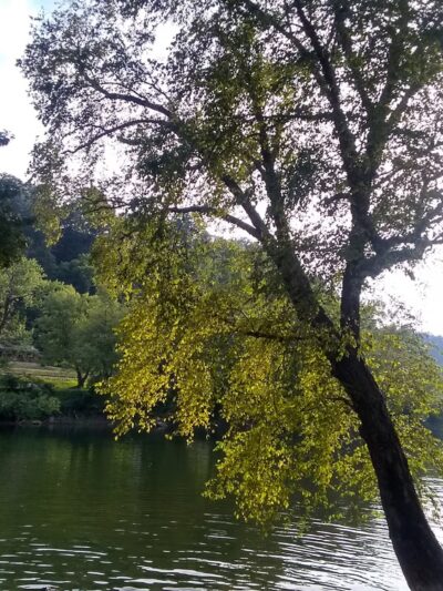 Alderson Mini Park - Alderson, WV