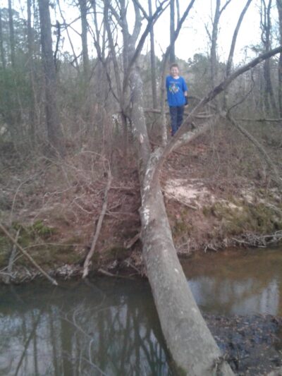 Community Park - Alexander, AR