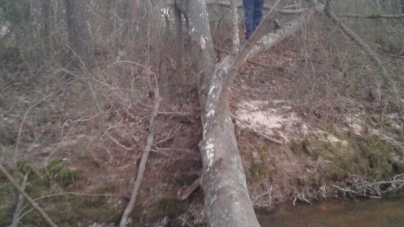 Community Park - Alexander, AR