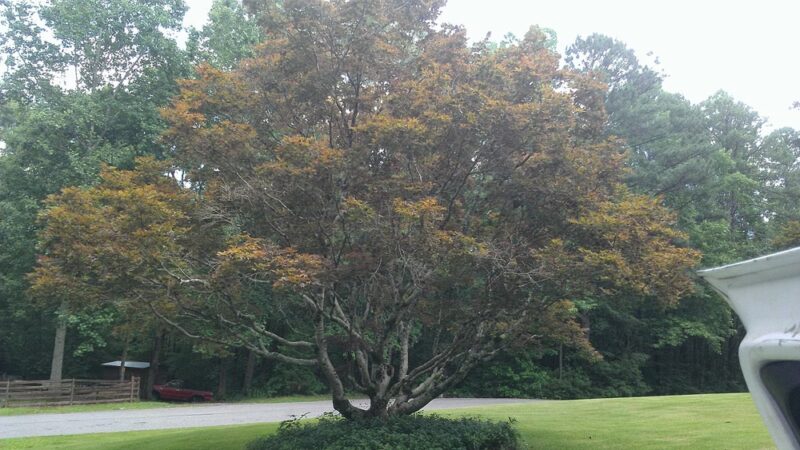 Hillabee - Alexander City, AL